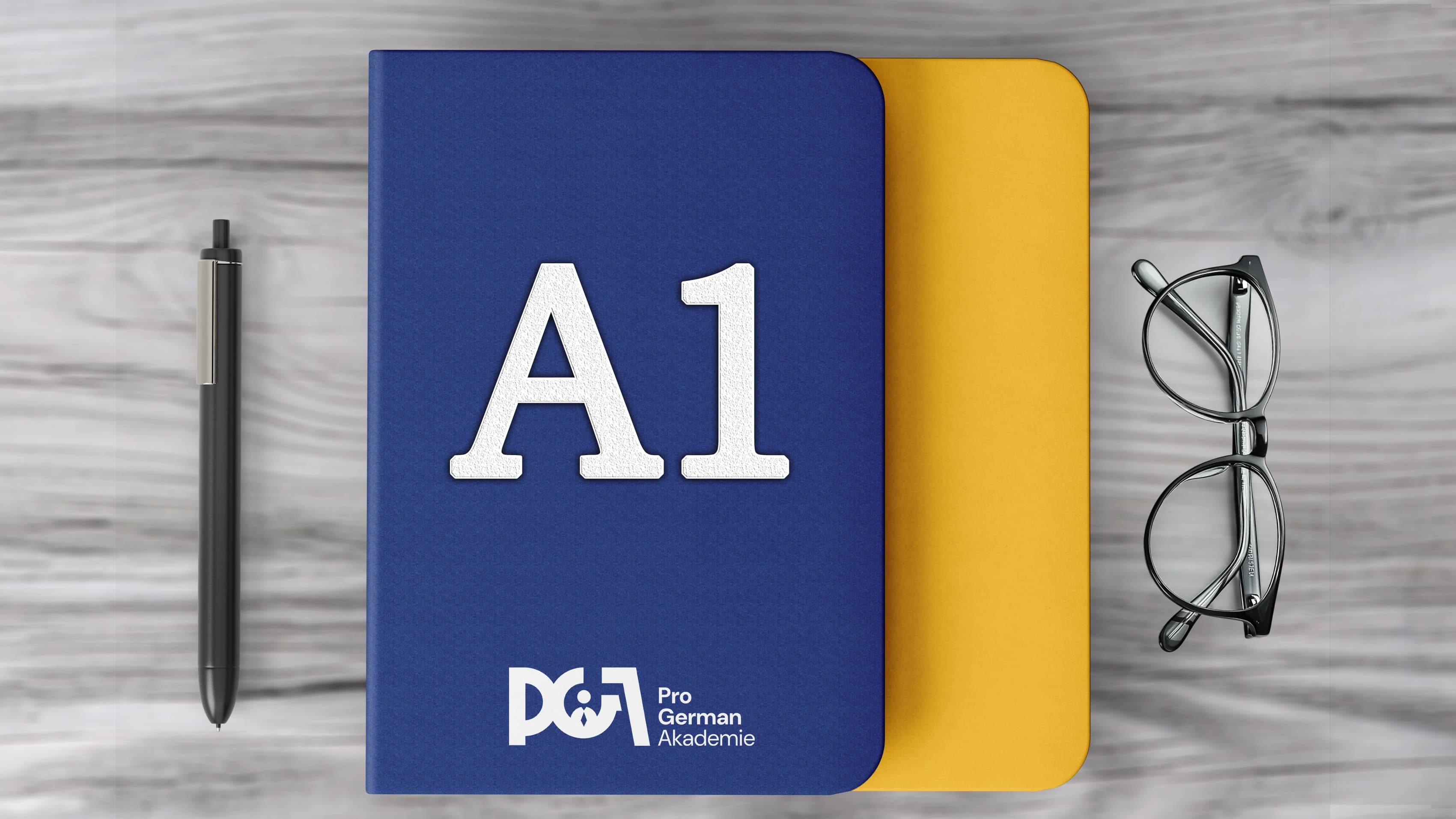 German A1 Full - Offline