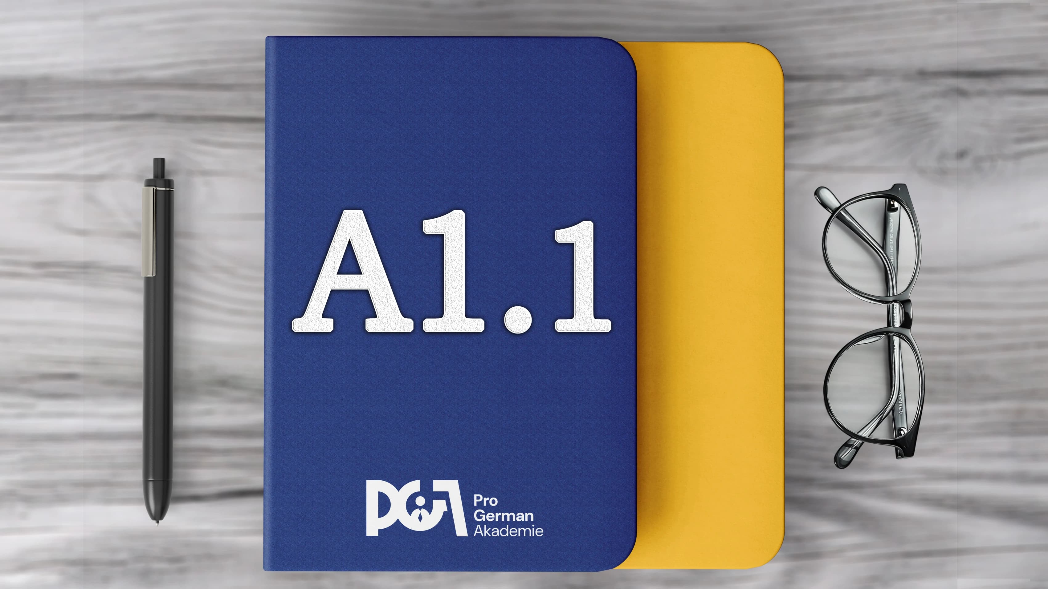 German A1.1 (Private 1 Person) - Offline